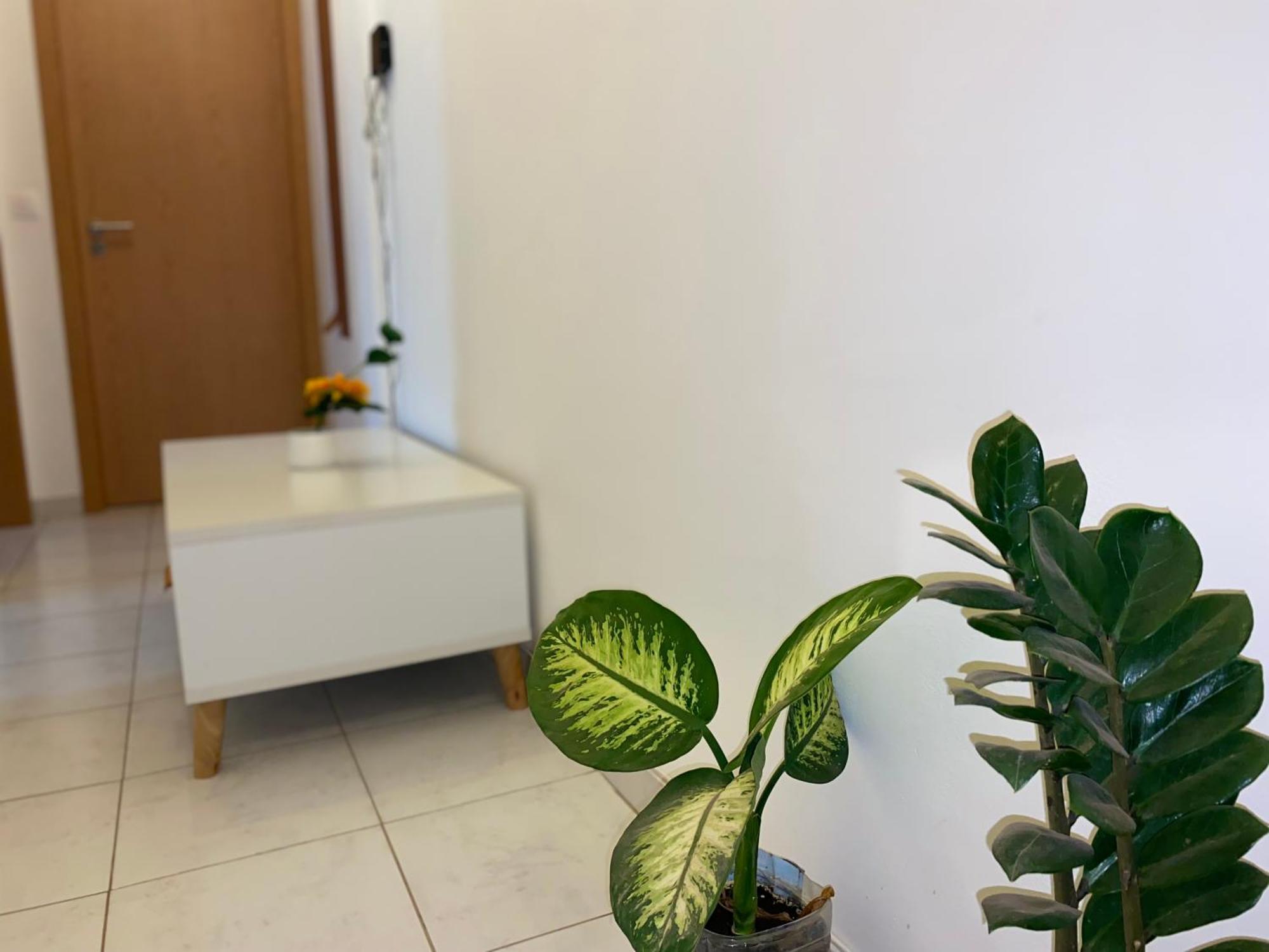 Apartamento T2 Equipado E Aconchegante. Прайя Экстерьер фото